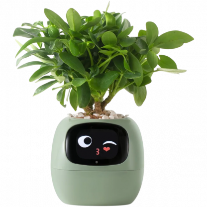 Smart Life Planter