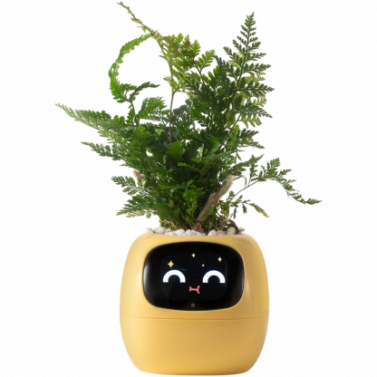 Smart Life Planter